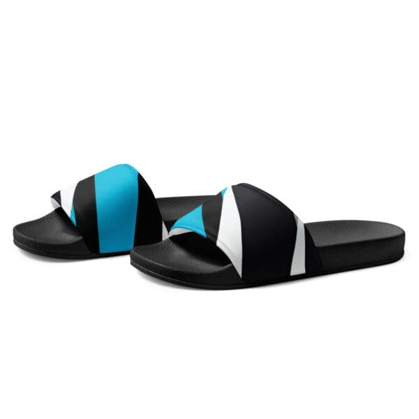 A pair of black and white slides with blue accents.