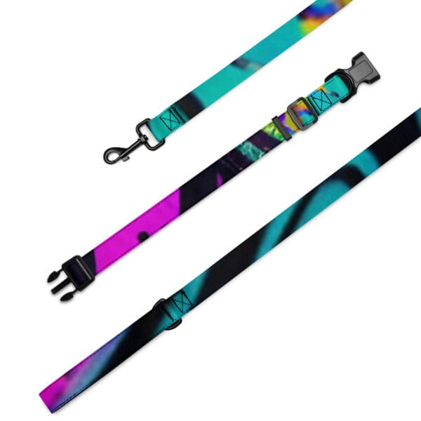 A dog collar and leash set with a colorful design.