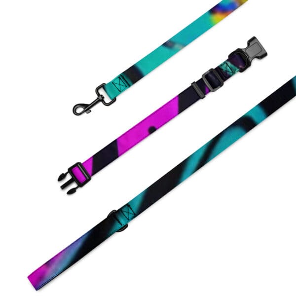 A dog collar and leash set with a colorful design.