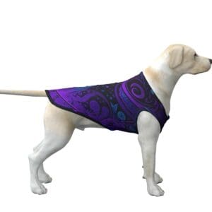 Dog wearing a patterned purple garment.