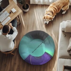 Man working, dog near colorful bean bag.